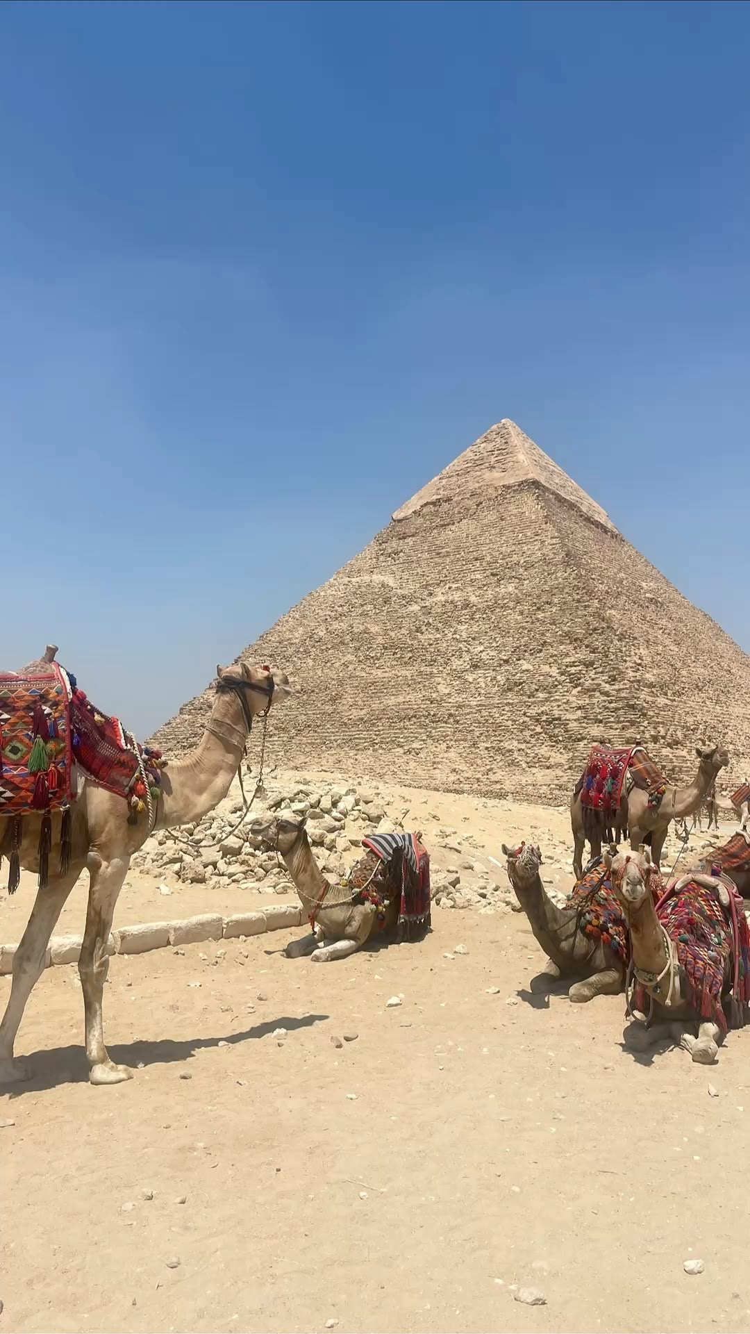 1Cairo by plane
