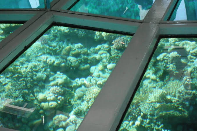 3Glass bottom Boat