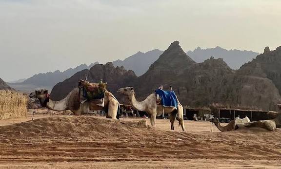 9Ultimate Desert experience