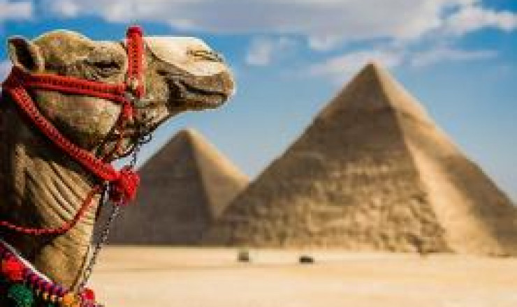 1White island Excursion in Sharm el Sheikh