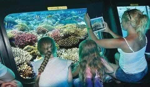 4Semi Submarine