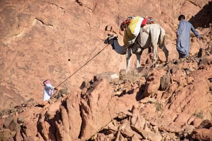 4Mouses mountain & St cathrine